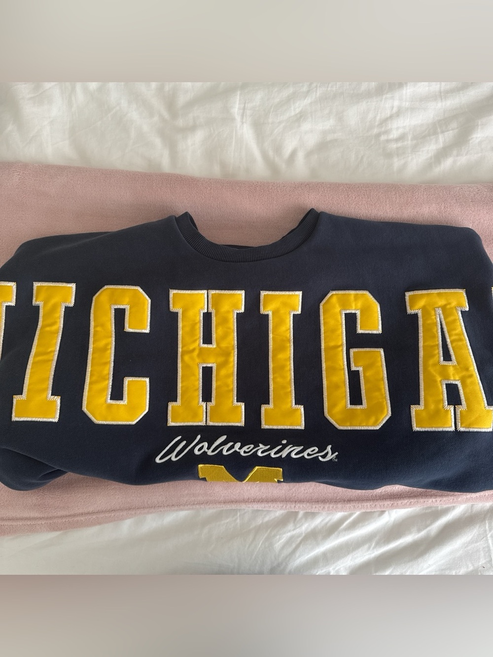 Pressbox Navy and White Graphic Crewneck
